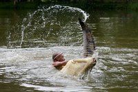 Muže napadl dvoumetrový krokodýl: Ubránil se pěstmi!