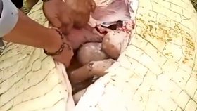 Tělo chlapce z žaludku krokodýla vytáhli v celku