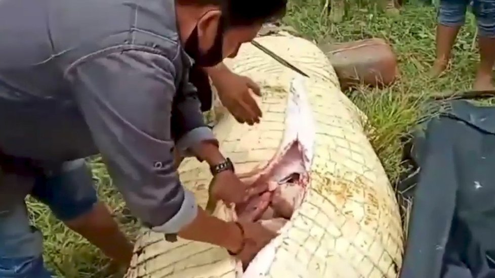 Tělo chlapce z žaludku krokodýla vytáhli v celku