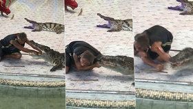 Krokodýl se trenérovi zakousl do ruky a trhal.