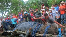 Tento říční krokodýl děsil celou vesnici