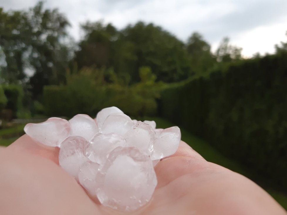 Kroupy, které při dnešní bouřce spadly v Brandýse nad Labem