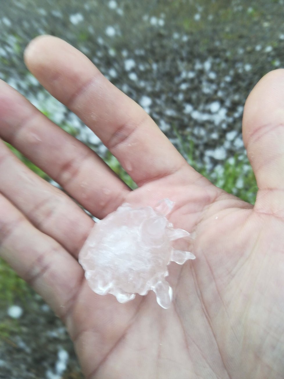 Česko o víkendu zasáhnou silné bouře. Ojediněle je budou doprovázet přívalové srážky, kroupy a nárazy větru až 90 km/h. Nejsilnější by bouře měly být v sobotu na jihozápadě země.