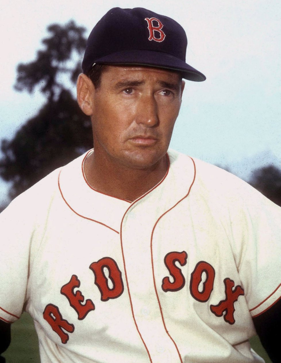 Ted Williams