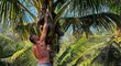 Ještě před tím než ho skolila nemoc, lezl v Thajsku Lukáš Krpálek po palmách