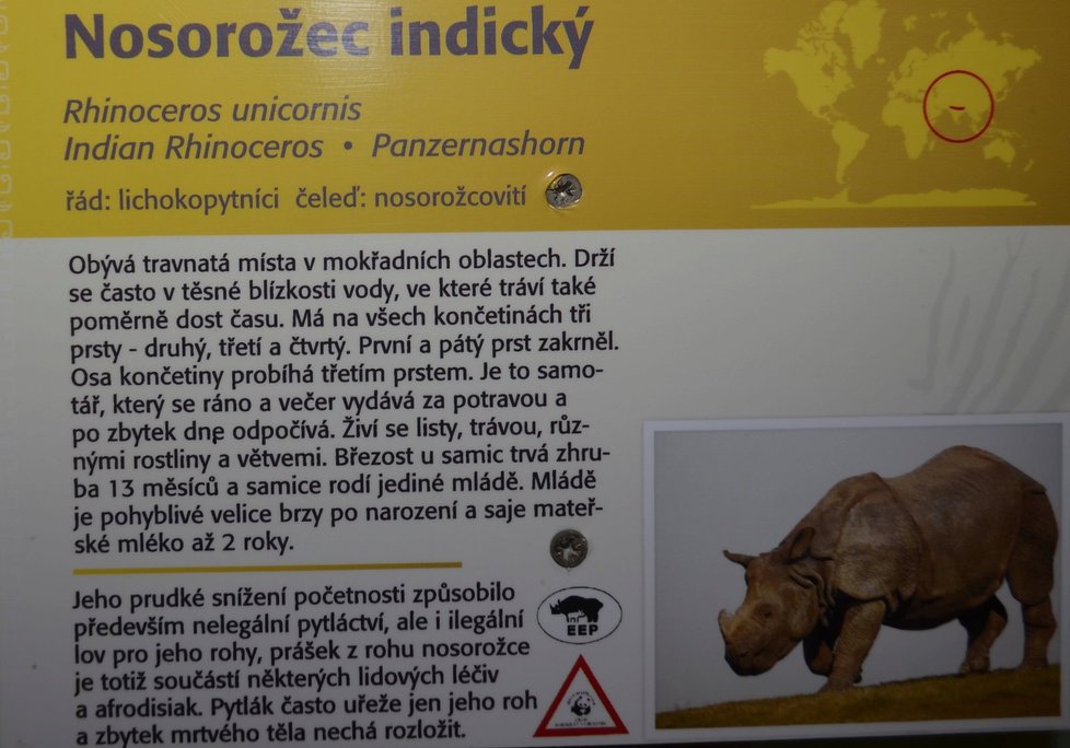 Křtiny nosorožčího mláděte Růženky v plzeňské zoo