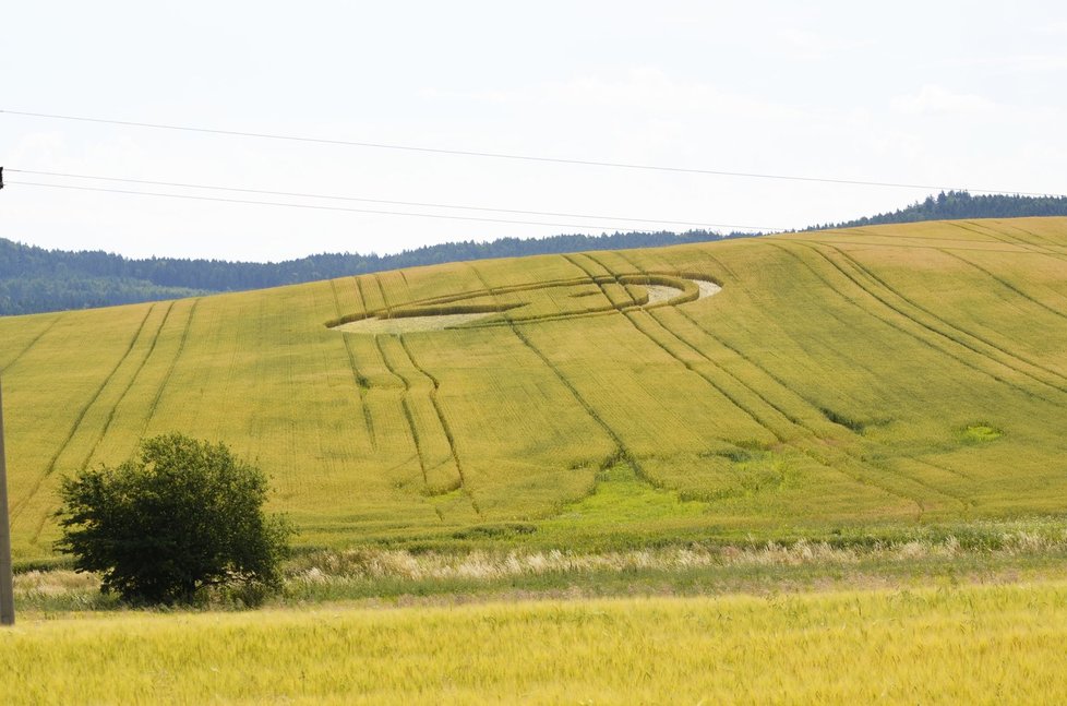 Zemědělce v Česku trápí hlavně komplikovaná administrativa.