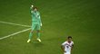 Tim Krul se raduje z chycené penalty, Kostarice zneškodnil celkem dvě a pokaždé vystihl směr střely.