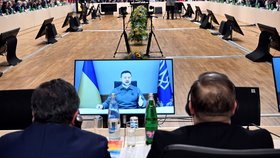Summit Krymské platformy v Praze: Proslov ukrajinského prezidenta Volodymyra Zelenského (24.10.2023)