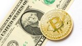 Důvěřivý důchodce chtěl vydělat na bitcoinech: Podvodníci ho obrali o čtvrt milionu
