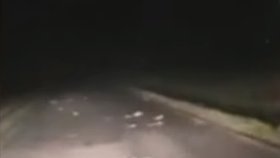 Na záběrech z kamer vozidel je vidět, jak krysy běhají po silnicích.