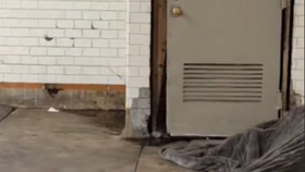 Virální video ukazuje více než dvacet krys, které zpod podezřele vypadající deky zběsile prchají z nástupiště metra pryč do tunelu.