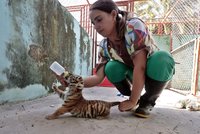Strach o 1500 zvířat! Kvůli nedostatku elektřiny a vody zavřeli zoo v Havaně