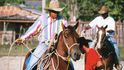 Vaqueros nemají lehkou práci už jen proto, že kubánský dobytek je hodně divoký, a tak musejí pohyb volně se pasoucího stáda bez ustání bedlivě kontrolovat z koňského sedla.