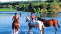 Zpoceným koním se občas zachce se ochladit v jezírku. Ladně vkročí do vody a po chvíli začnou plavat.