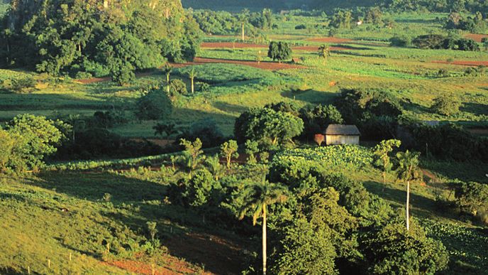 Údolí Vilales je rozbrázděno mohutnými masivy z vápence porostlými tropickou vegetací.