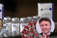 Ruský hazard, nebo naděje? Imunolog Hořejší či doktor Kubek pro Blesk o vakcíně Sputnik V