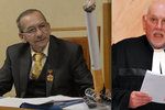 Stížnost senátorů, v jejichž čele stojí Jaroslav Kubera z ODS, dostal na stůl předseda Ústavního soudu Pavel Rychetský.