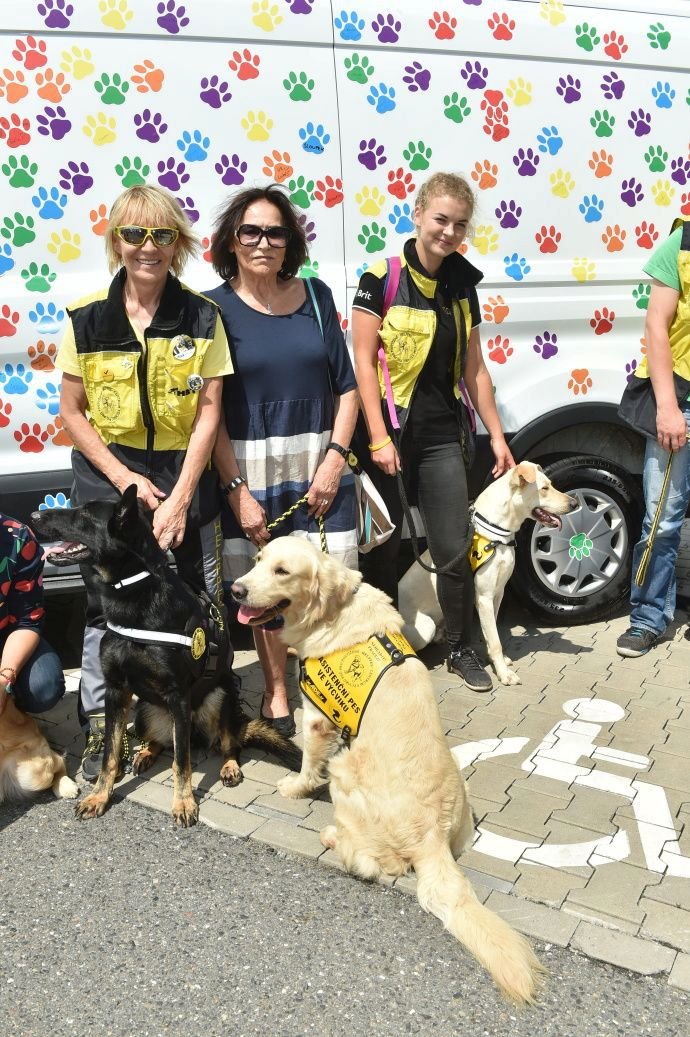 Společnost Helppes již vychovala přes 220 asistenčních psů, kteří pomáhají vozíčkářům, lidem s tělesným postižením, epileptikům a spoustě dalších lidem s postižením.