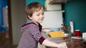 Německý tým vědců zkoumal, co skrývají houbičky, kterými lidé doma myjí nádobí či utírají nábytek v kuchyni.