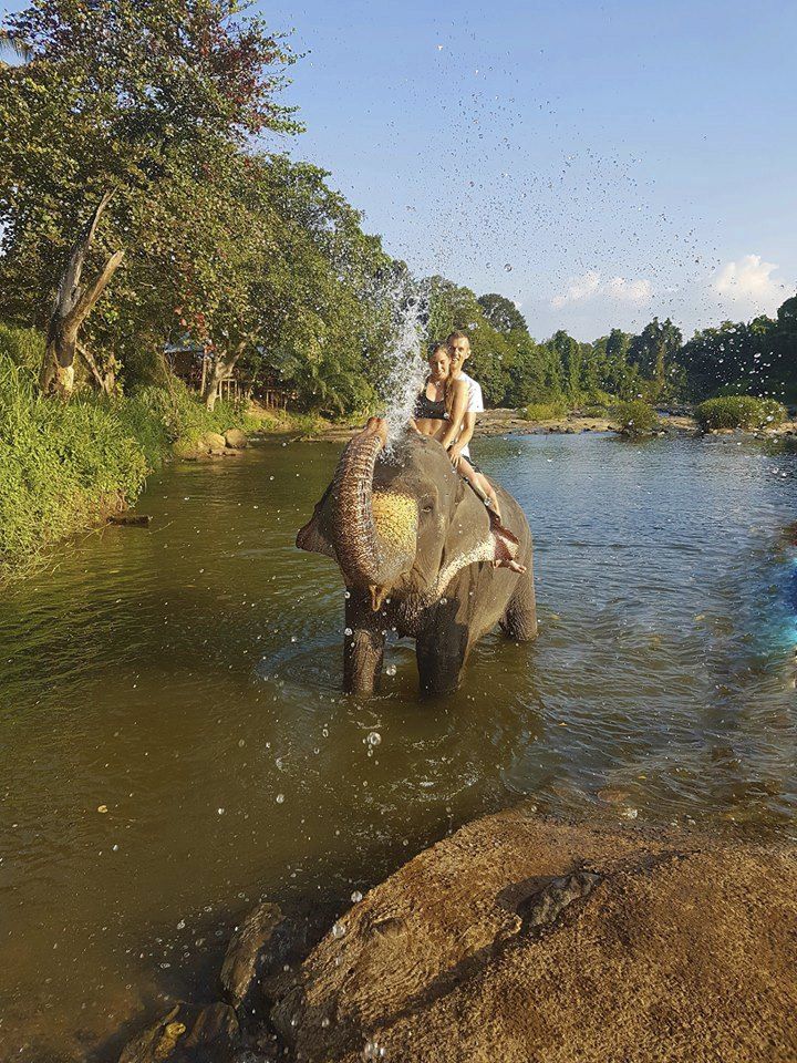 Kudějová slon Sri Lanka