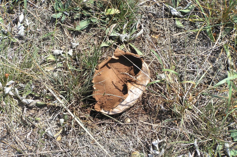 S Mourissonem na cestách za kudlankou nábožnou