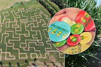 Bloudění v kukuřičných bludištích: Největší labyrint je v Praze a má 3 kilometry! Co je v něm schované?