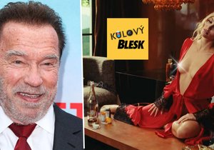 Kulový Blesk: Arnold je muž se srdcem prasete, Deppová se odhaluje v prasečince Idol