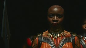 Black Panther: Wakanda nechť žije. (2022)