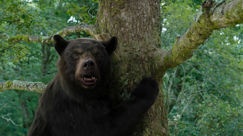 Medvěd na koksu. (2023)