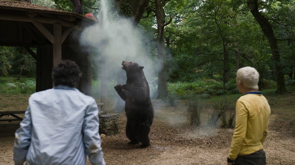 Medvěd na koksu. (2023)