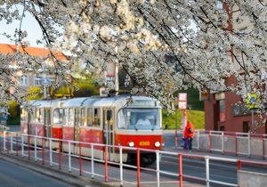 Tramvaj v Praze, ilustrační foto.