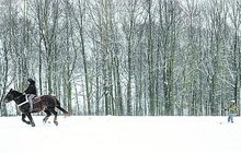 Lyžovačka  za kilo mrkve: Když nejezdí vleky, zapřáhněte koně