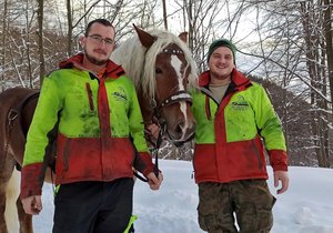 Bratři Tomáš (27, vlevo) a Daniel (24) Kluzovi z Mostů u Jablunkova s koněm Azurem (4) stahují dřevo z příkrých horských strání, kam se traktor nedostane.