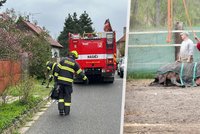 Kůň spadl do skruže s vodou a šlo mu i život! Hasičům se ho za pomoci jeřábu podařilo vyprostit živého