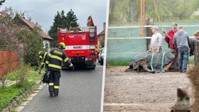 Kůň spadl do skruže s vodou a šlo mu i život! Hasičům se ho za pomoci jeřábu podařilo vyprostit živého