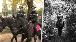 Pardubičtí strážníci truchlí: Zemřel milovaný člen jízdní policie kůň Eda