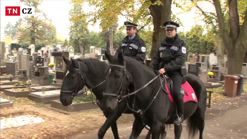 Kůň Eda byl až do dubna součástí pardubické městské policie