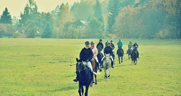 Na okrajích Prahy narazíte spíš na chovatele koní a vášnivé jezdce.