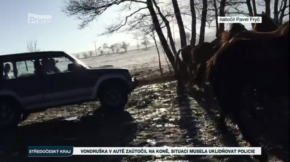 Na záběrech jednoho z dobrovolníků, které pořídil na mobilní telefon, je patrné, jak majitel najíždí autem do vlastních koní.