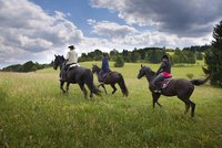Tip na rodinný výlet: Vysočinou na koni! Až 1000 km hipostezek