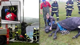 Kůň na Brněnsku spadl do úzké šachty u bazénu: Vytahovali ho jeřábem.