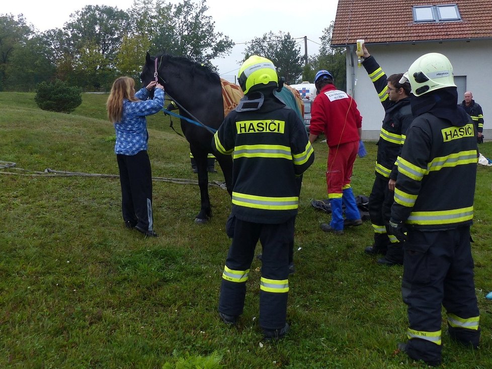 Kůň na Brněnsku spadl do úzké šachty u bazénu: Vytahovali ho jeřábem.