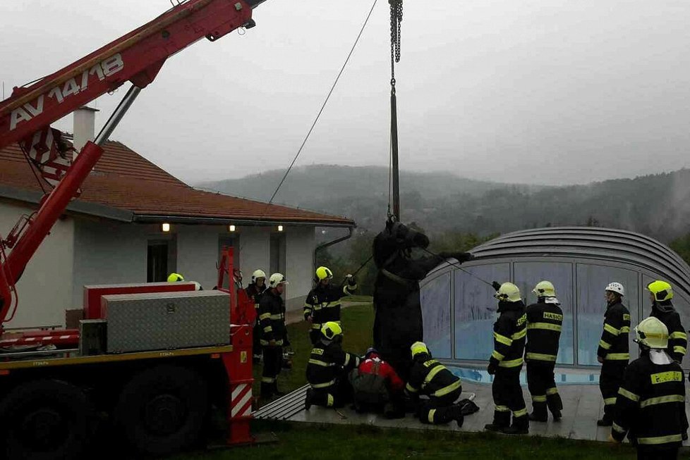 Kůň na Brněnsku spadl do úzké šachty u bazénu: Vytahovali ho jeřábem.