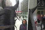 Newyorský policista pronásledoval lupiče brýlí na koni.