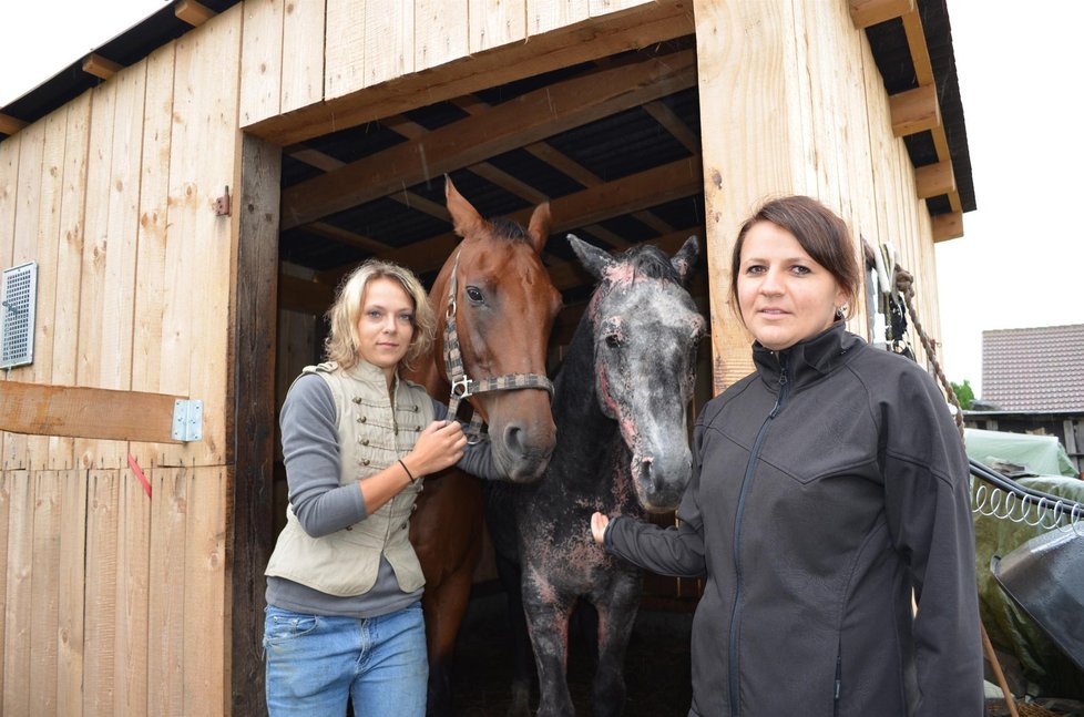 kamarádky Olga Štěpánová (25, vpravo ) a Helena Žejdlíková (24) s Šonym (6) a Luccou (16)