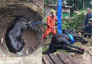 600kilového koně ze studny na Opavsku zachránili hasiči: Z hloubky 8 metrů ho tahal vyprošťovací vůz.