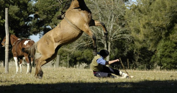 Ilustrační foto Ilustrační foto