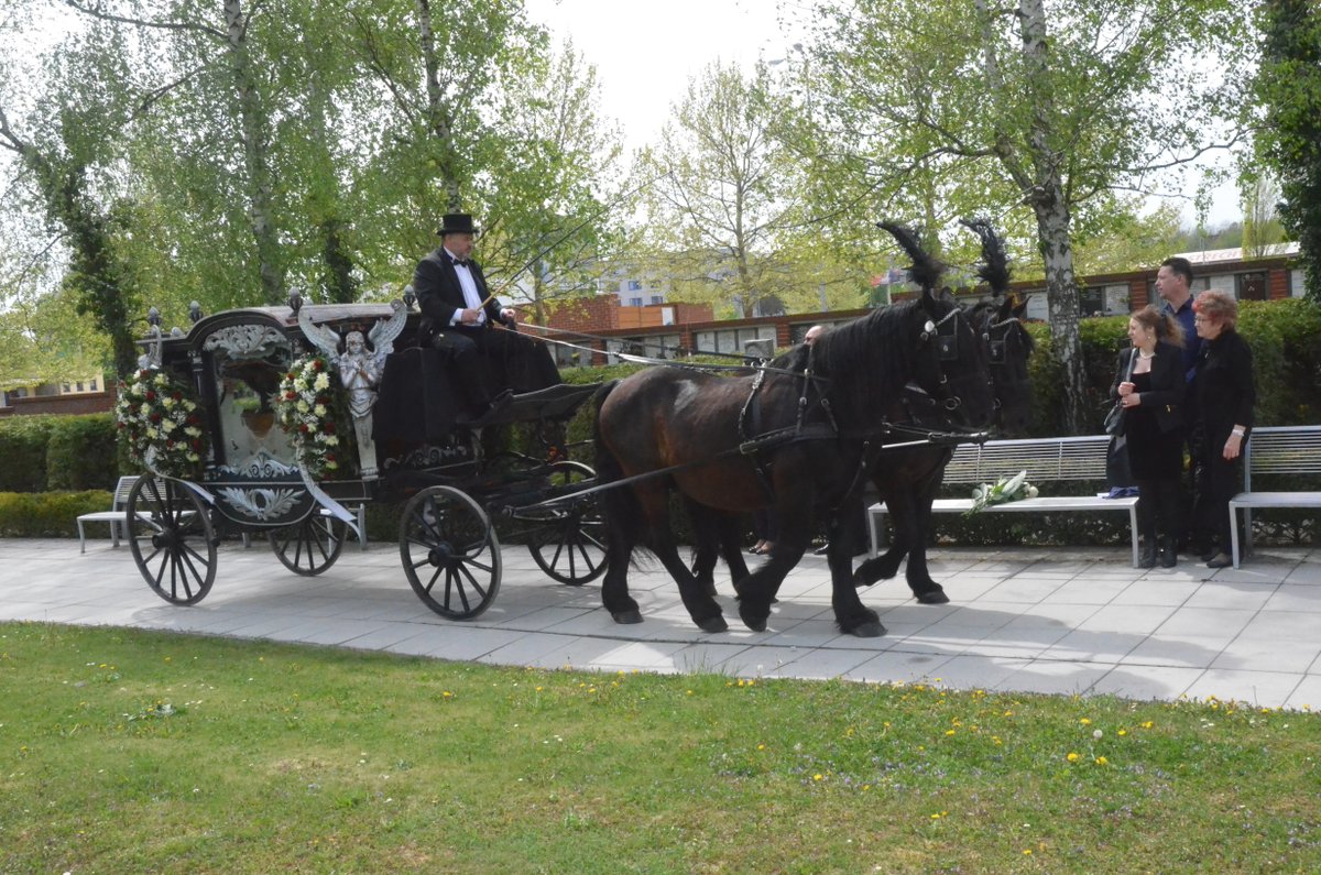 Rakev s nebohou jezdkyní Jitkou přivezl k poslednímu rozloučení do olomouckého krematoria starodávný pohřební vůz tažený párem černých koní