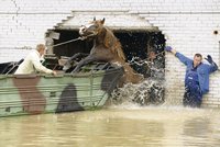 Povodně v Polsku: Lidé zachraňují, co se dá